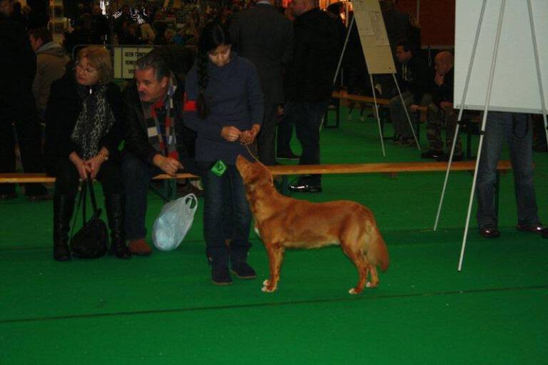 Tosco (1 jaar)