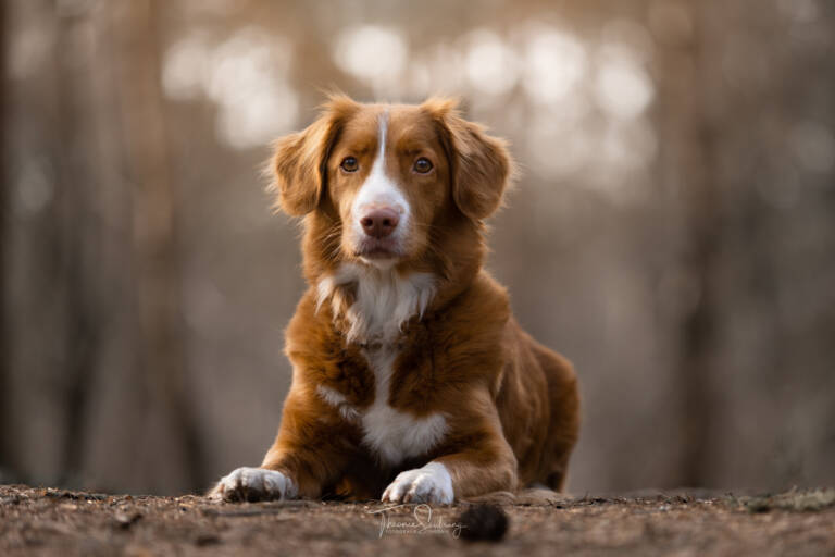 Nola - Fotografie Theonie (5 jaar)