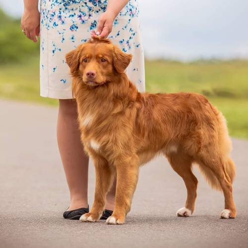 490728208_10236660773163617_3401119807616148912_n